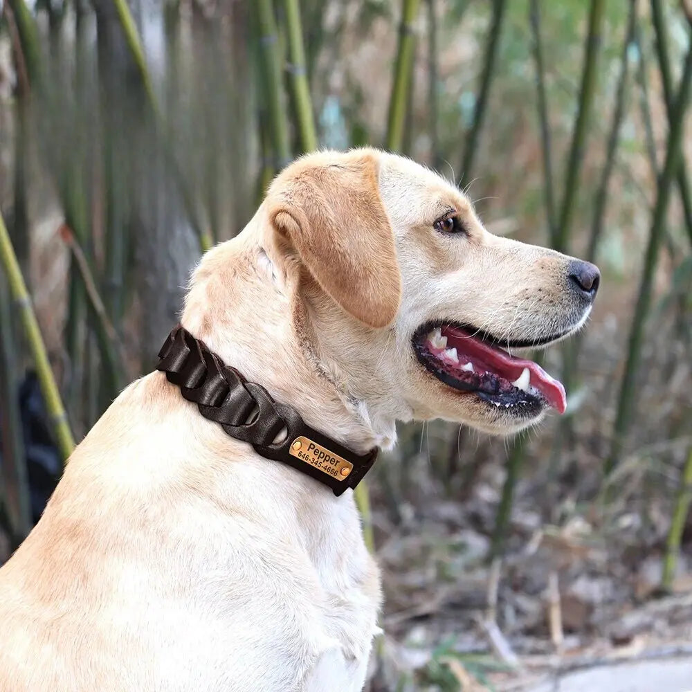 Collier Chien Chasse Gravé Celekado