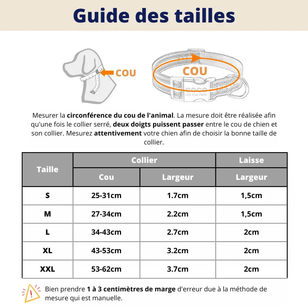 Collier et Laisse pour Chien Personnalisés