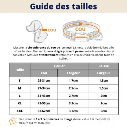 Collier et Laisse pour Chien Personnalisés