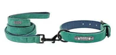 Collier et Laisse pour Chien Personnalisés Vert