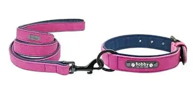 Collier et Laisse pour Chien Personnalisés Violet