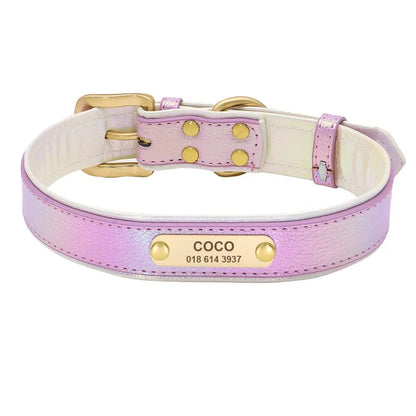 Collier Fluo Chien Personnalisé Violet