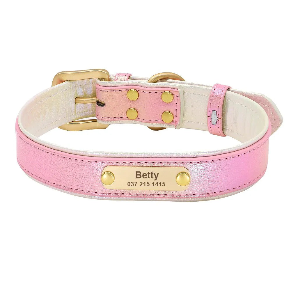 Collier Fluo Chien Personnalisé Rose