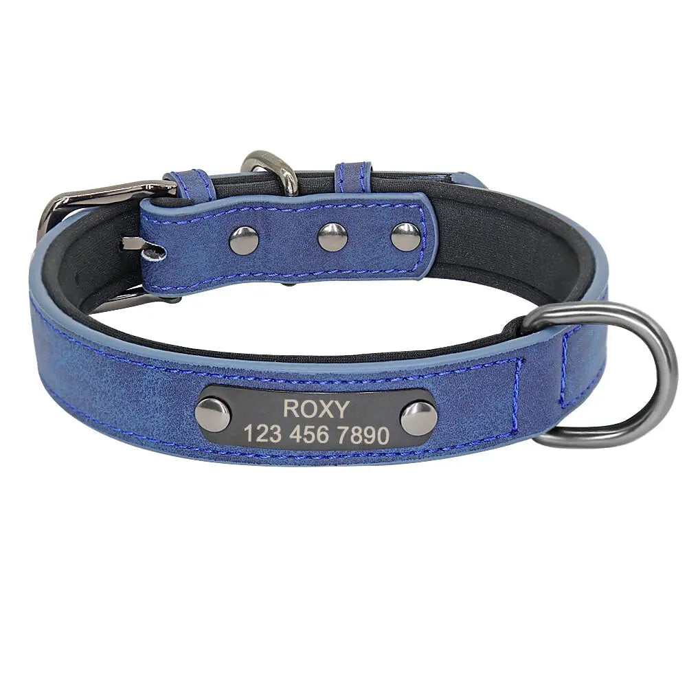 Collier Gros Chien Personnalisé Bleu