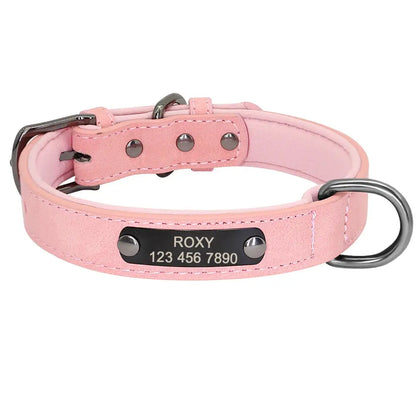 Collier Gros Chien Personnalisé Rose